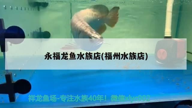 永福龍魚水族店(福州水族店)（哈爾濱哪里有永福龍魚水族店）