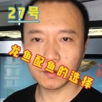 龍魚精養缸適合哪些品種（龍魚精養缸怎么選擇）