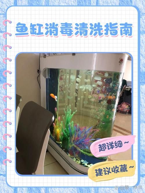 清洗魚缸時需要注意哪些事項（天山可可，如何正確清洗魚缸）