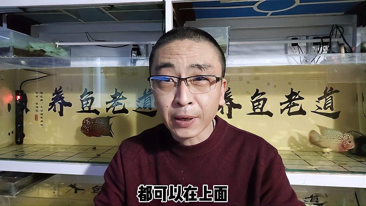 清洗魚缸時需要注意哪些事項（天山可可，如何正確清洗魚缸）