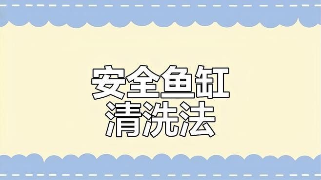 清洗魚缸時需要注意哪些事項（天山可可，如何正確清洗魚缸）