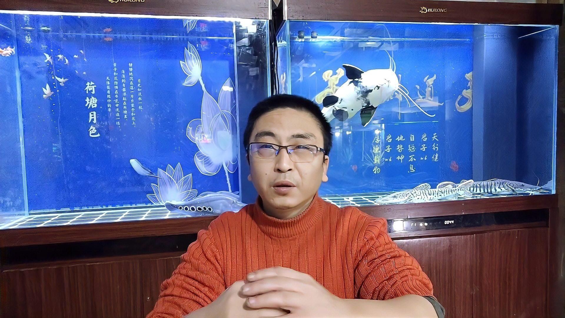清洗魚缸時需要注意哪些事項（天山可可，如何正確清洗魚缸）