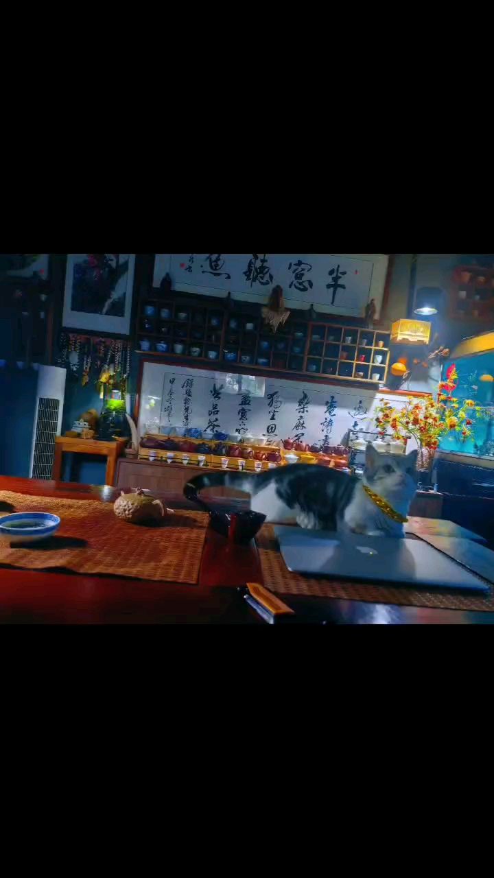 我在高校的日子……（大學(xué)生活是一段充滿(mǎn)挑戰(zhàn)和機(jī)遇的時(shí)光，它讓我變得更加成熟和）