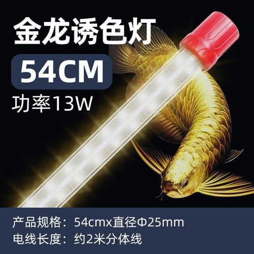 如何判斷金龍魚燈管的質量（金龍魚專用燈怎么選）
