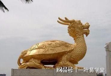 龍龜和魚缸擺放的最佳位置（龍龜和魚缸擺放的最佳位置是什么？）
