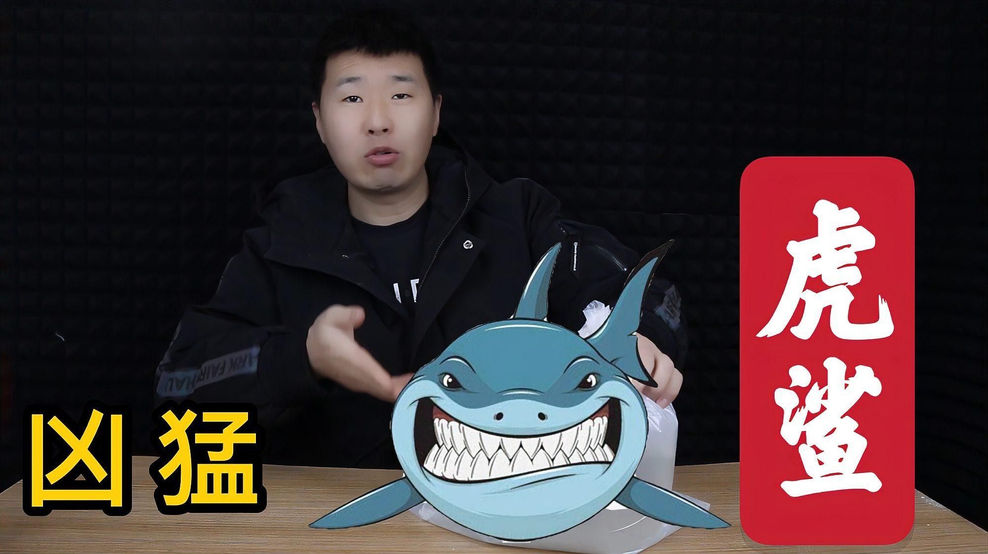 龍魚和虎頭鯊多久會適應彼此？（龍魚和虎頭鯊多久會適應彼此，）