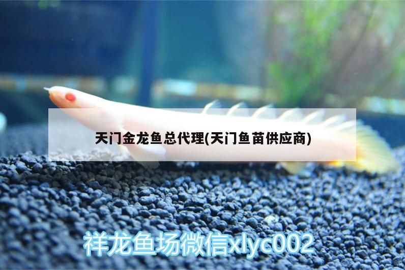 世界上最大的金龍魚有多大（世界上最大的金龍魚有多大?）（世界上最大的金龍魚體型巨大的金龍魚體型遠超過這個平均值） 世界上最大的金龍魚有多大（世界上最大的金龍魚有多大?）（世界上最大的金龍魚體型巨大的金龍魚體型遠超過這個平均值） 觀賞魚百科 第1張