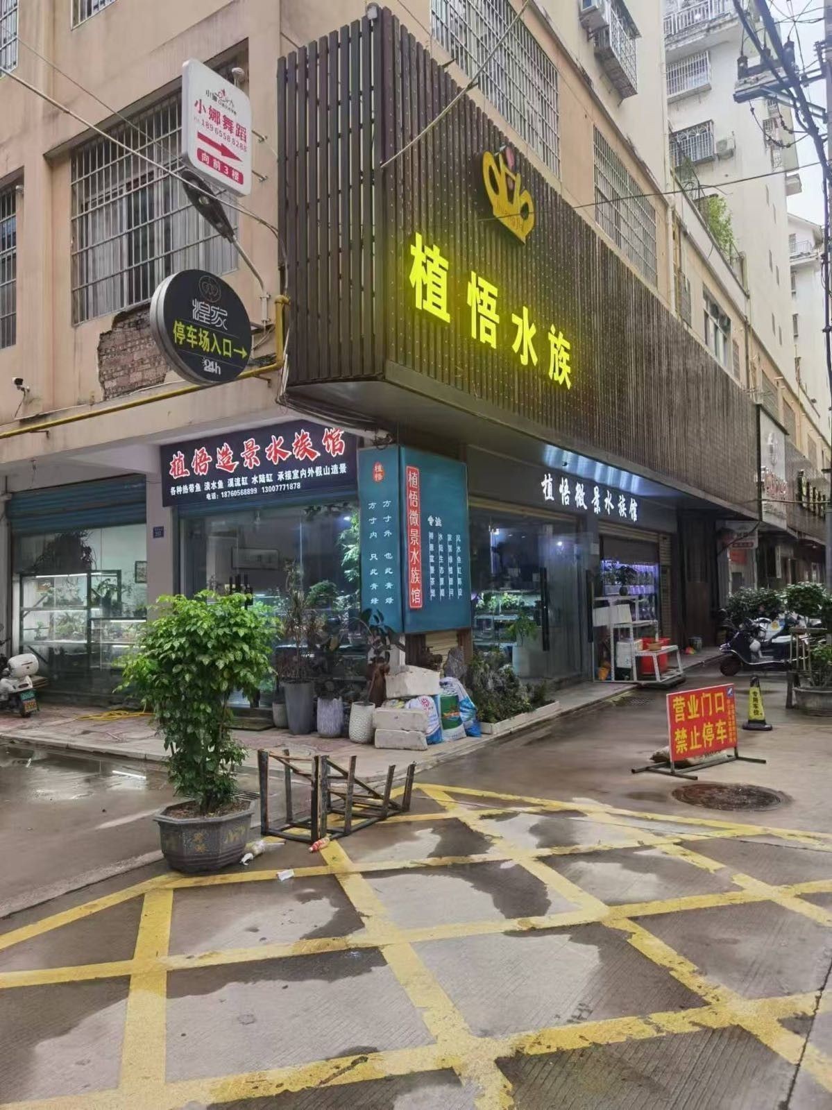<strong><mark>仙游</mark></strong>哪個水族館龍魚好？祥龍魚場龍魚（<strong><mark>仙游</mark></strong>哪個水族館龍魚好）