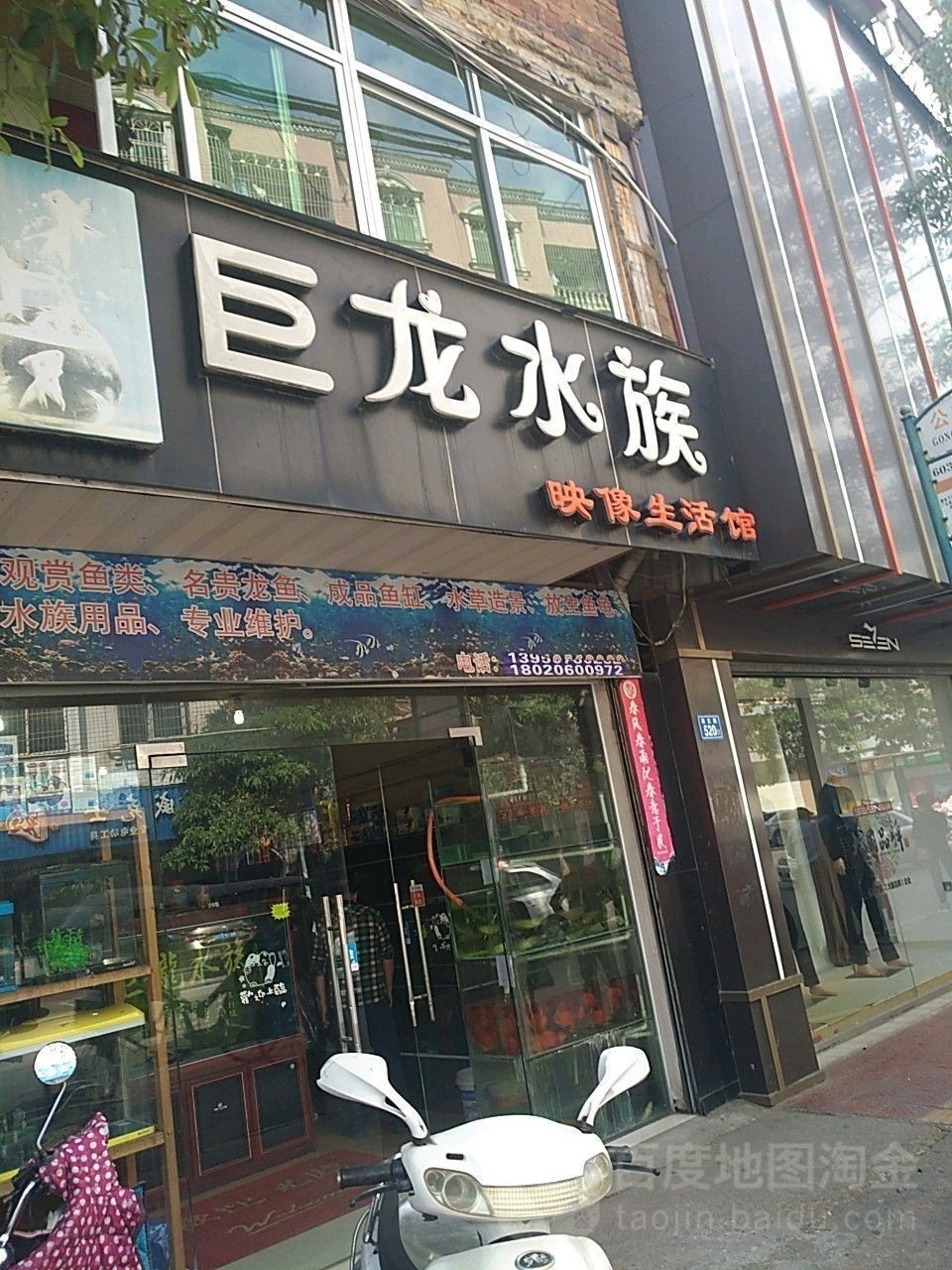 仙游哪個水族館龍魚好？祥龍魚場龍魚（仙游哪個水族館龍魚好）