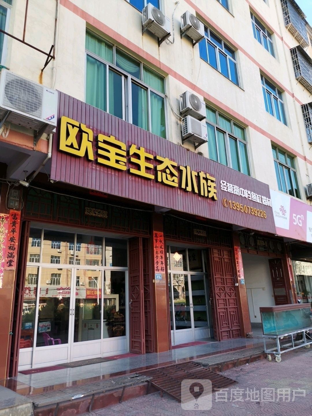 仙游哪個水族館龍魚好？祥龍魚場龍魚（仙游哪個水族館龍魚好）