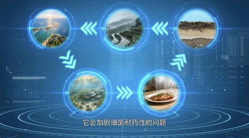 金龍魚麻藥有哪些副作用（金龍魚使用麻藥有什么副作用）