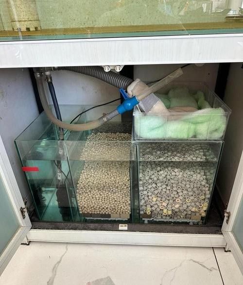 外置濾桶和底濾哪個更好?(外置濾桶和底濾各有優缺點) 龍魚百科 第3張 外置濾桶和底濾哪個更好?(外置濾桶和底濾各有優缺點) 外置濾桶和底濾哪個更好?(外置濾桶和底濾各有優缺點) 龍魚百科 第3張