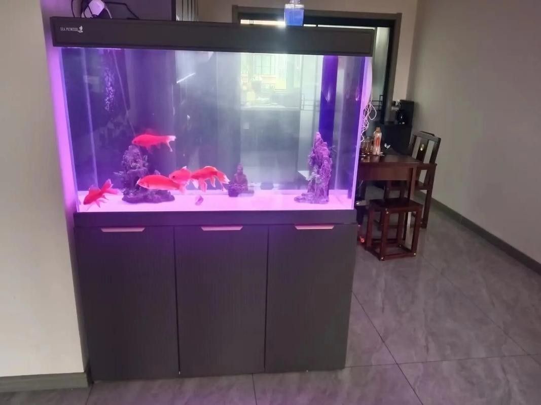 外置濾桶和底濾哪個更好?(外置濾桶和底濾各有優缺點) 龍魚百科 第6張 外置濾桶和底濾哪個更好?(外置濾桶和底濾各有優缺點) 外置濾桶和底濾哪個更好?(外置濾桶和底濾各有優缺點) 龍魚百科 第6張
