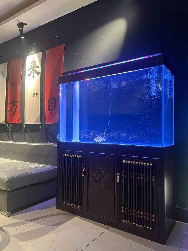 外置濾桶和底濾哪個更好?(外置濾桶和底濾各有優缺點) 龍魚百科 第1張 外置濾桶和底濾哪個更好?(外置濾桶和底濾各有優缺點) 外置濾桶和底濾哪個更好?(外置濾桶和底濾各有優缺點) 龍魚百科 第1張