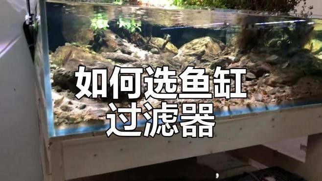 外置濾桶和底濾哪個更好？（外置濾桶和底濾各有優缺點） 外置濾桶和底濾哪個更好？（外置濾桶和底濾各有優缺點） 龍魚百科 第7張