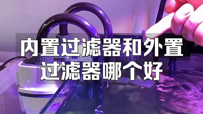 外置濾桶和底濾哪個更好？（外置濾桶和底濾各有優缺點） 外置濾桶和底濾哪個更好？（外置濾桶和底濾各有優缺點） 龍魚百科 第10張