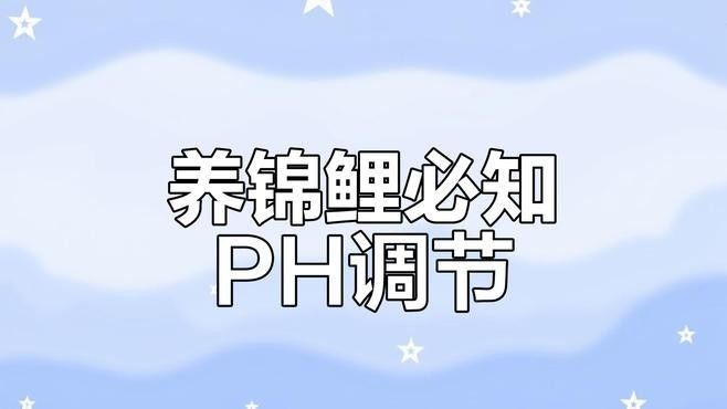 如何調節龍魚和錦鯉的水質差異（錦鯉養殖技巧之水質篇）
