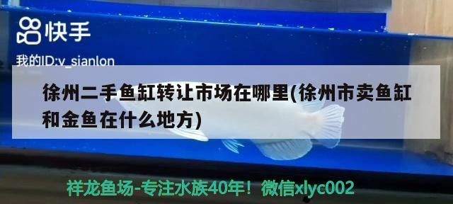 徐州二手魚缸轉(zhuǎn)讓市場(chǎng)在哪里(徐州市賣魚缸和金魚在什么地方)（徐州二手魚缸轉(zhuǎn)讓市場(chǎng)在哪里徐州二手魚缸轉(zhuǎn)讓市場(chǎng)在哪里）