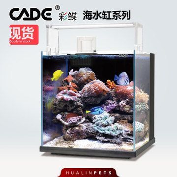 彩鰈水族有限公司官網：彩鰈水族有限公司官網信息并未直接給出
