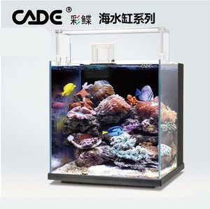 彩鰈水族有限公司官網：彩鰈水族有限公司官網信息并未直接給出