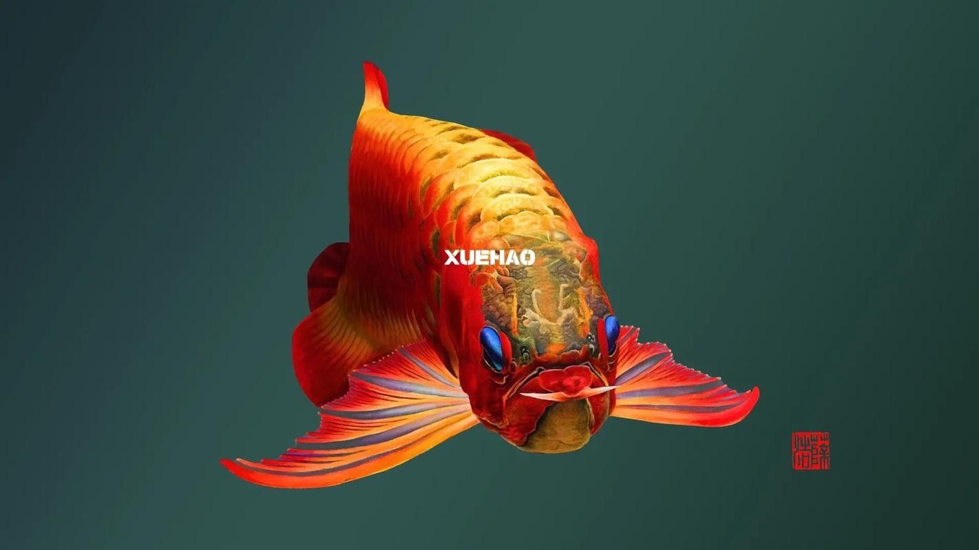紅龍魚壁紙有哪些風格（紅龍魚壁紙的風格多樣）