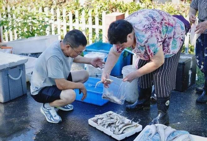 杭州龍魚市場的營業(yè)時(shí)間是（杭州龍魚市場的營業(yè)時(shí)間是每天9點(diǎn)至下午6點(diǎn)至下午6點(diǎn)）