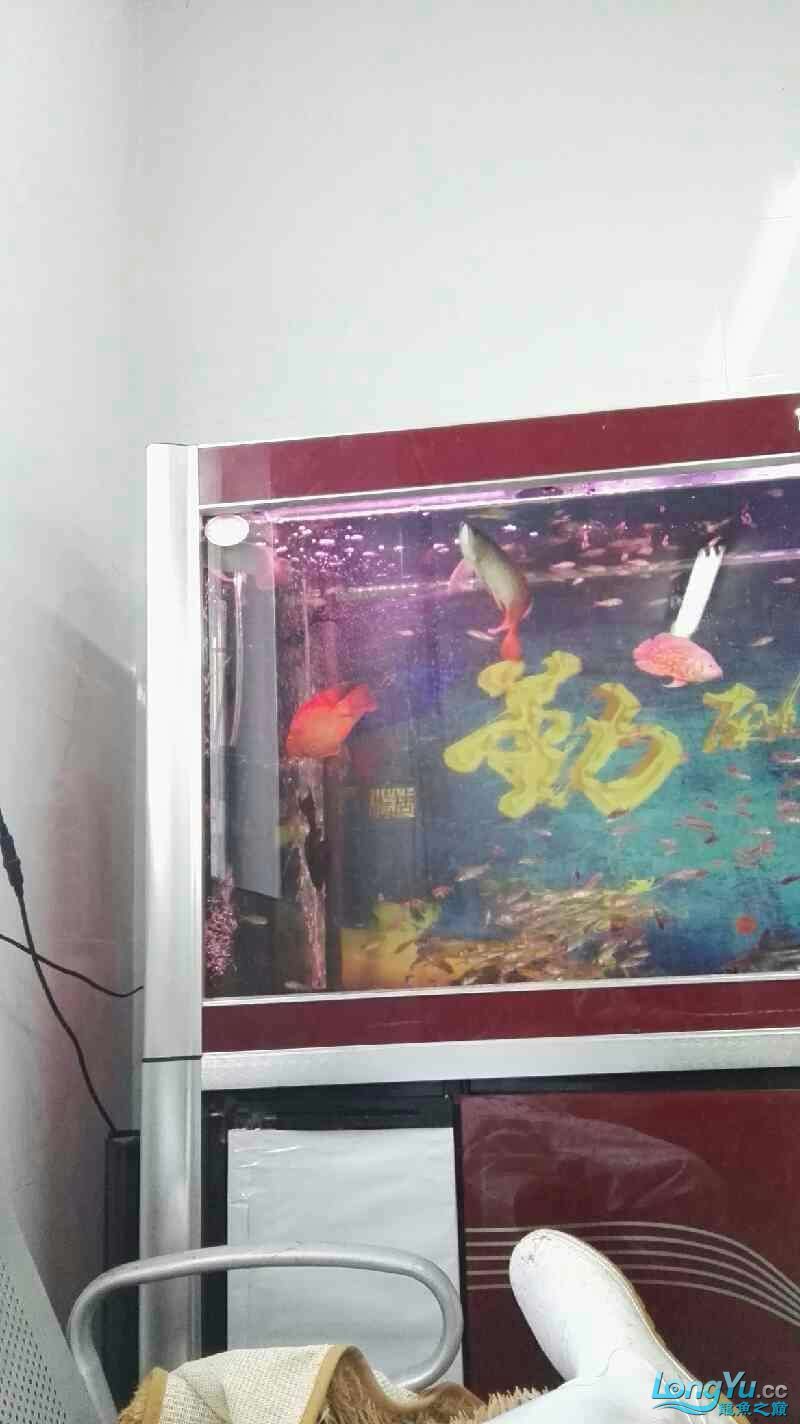 這龍是打瞌睡嗎還是難受生病了（關于“這龍是打瞌睡還是難受生病了”的問題）