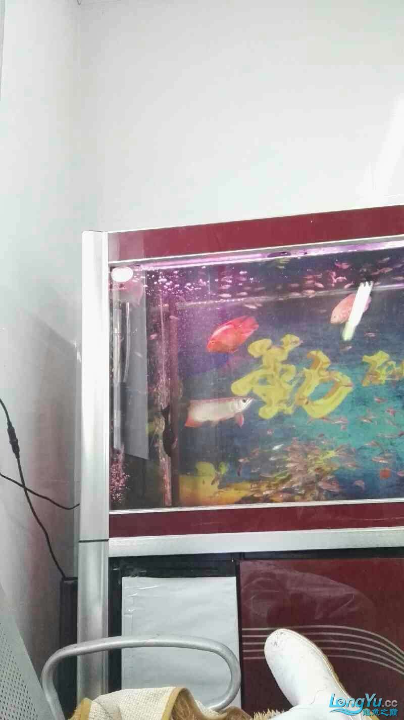 這龍是打瞌睡嗎還是難受生病了（關于“這龍是打瞌睡還是難受生病了”的問題）