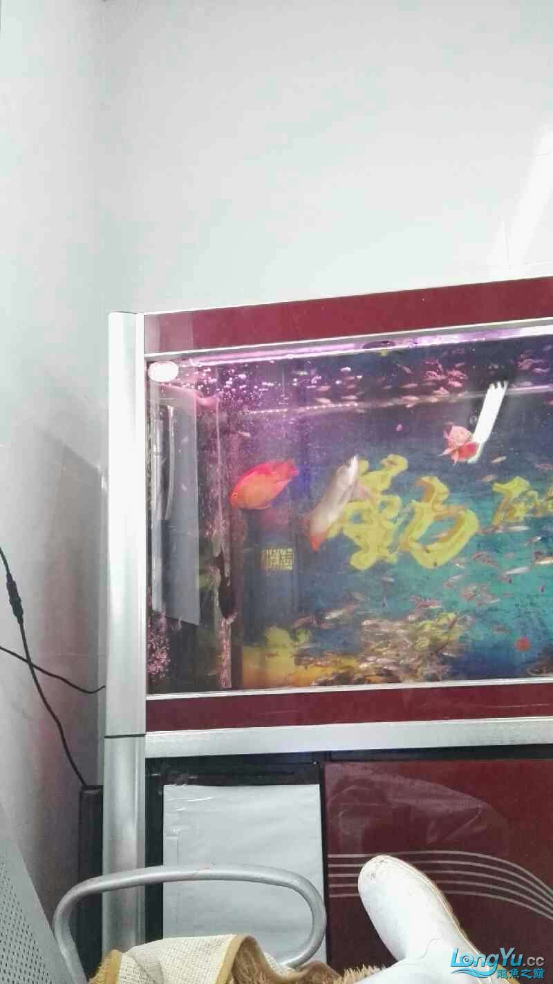 這龍是打瞌睡嗎還是難受生病了（關于“這龍是打瞌睡還是難受生病了”的問題）