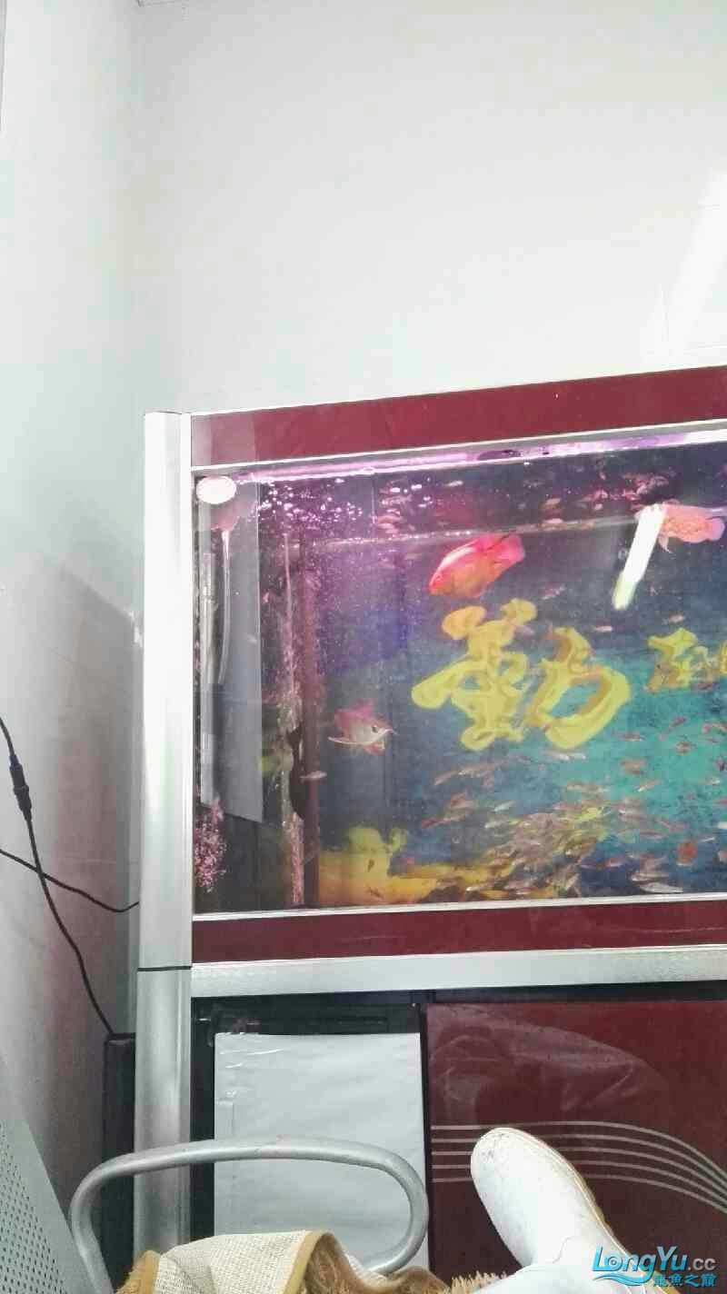 這龍是打瞌睡嗎還是難受生病了（關于“這龍是打瞌睡還是難受生病了”的問題）