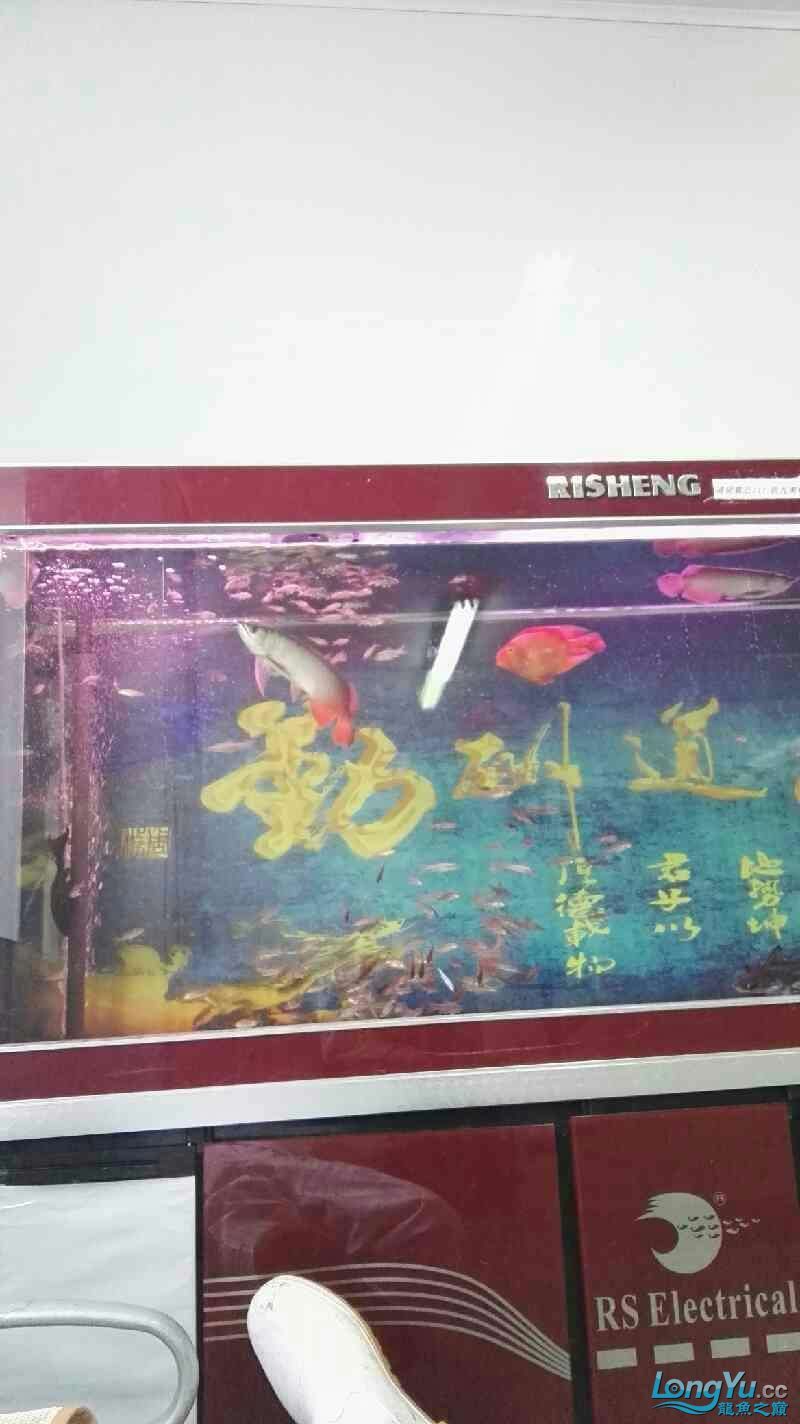 這龍是打瞌睡嗎還是難受生病了（關于“這龍是打瞌睡還是難受生病了”的問題）