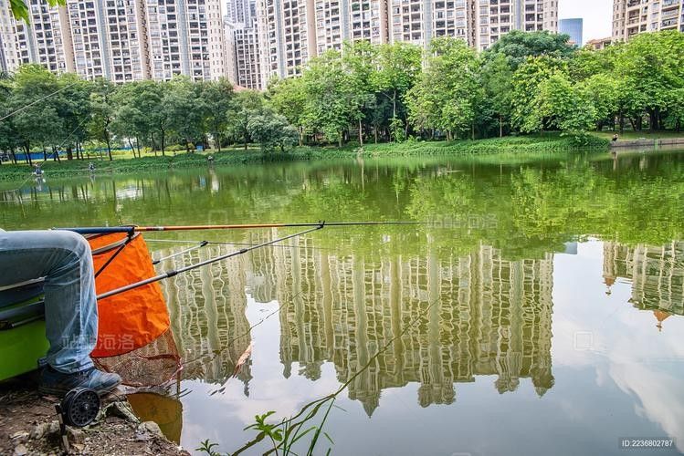 佛山長龍魚場的營業(yè)時間是（佛山長龍魚場的營業(yè)時間是多久？）