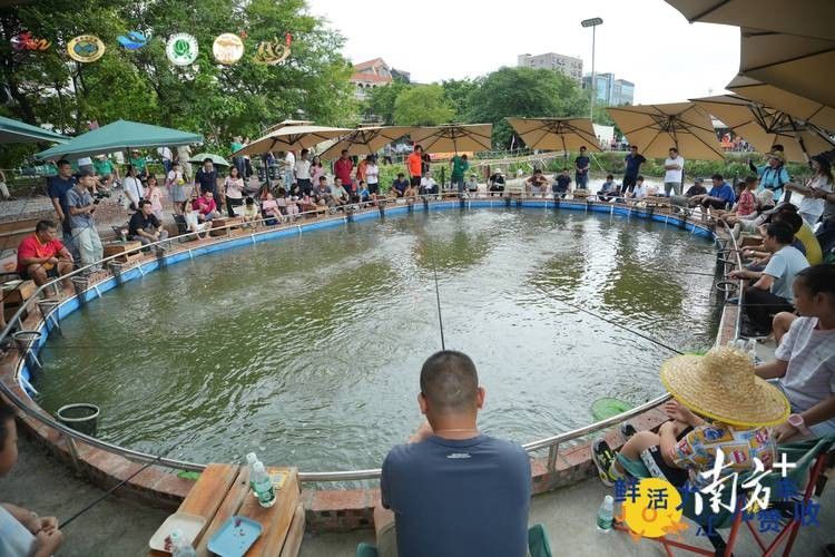 佛山長龍魚場的營業(yè)時間是（佛山長龍魚場的營業(yè)時間是多久？）