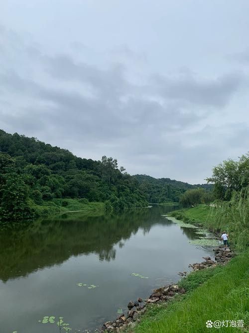 佛山長龍魚場的營業(yè)時間是（佛山長龍魚場的營業(yè)時間是多久？）