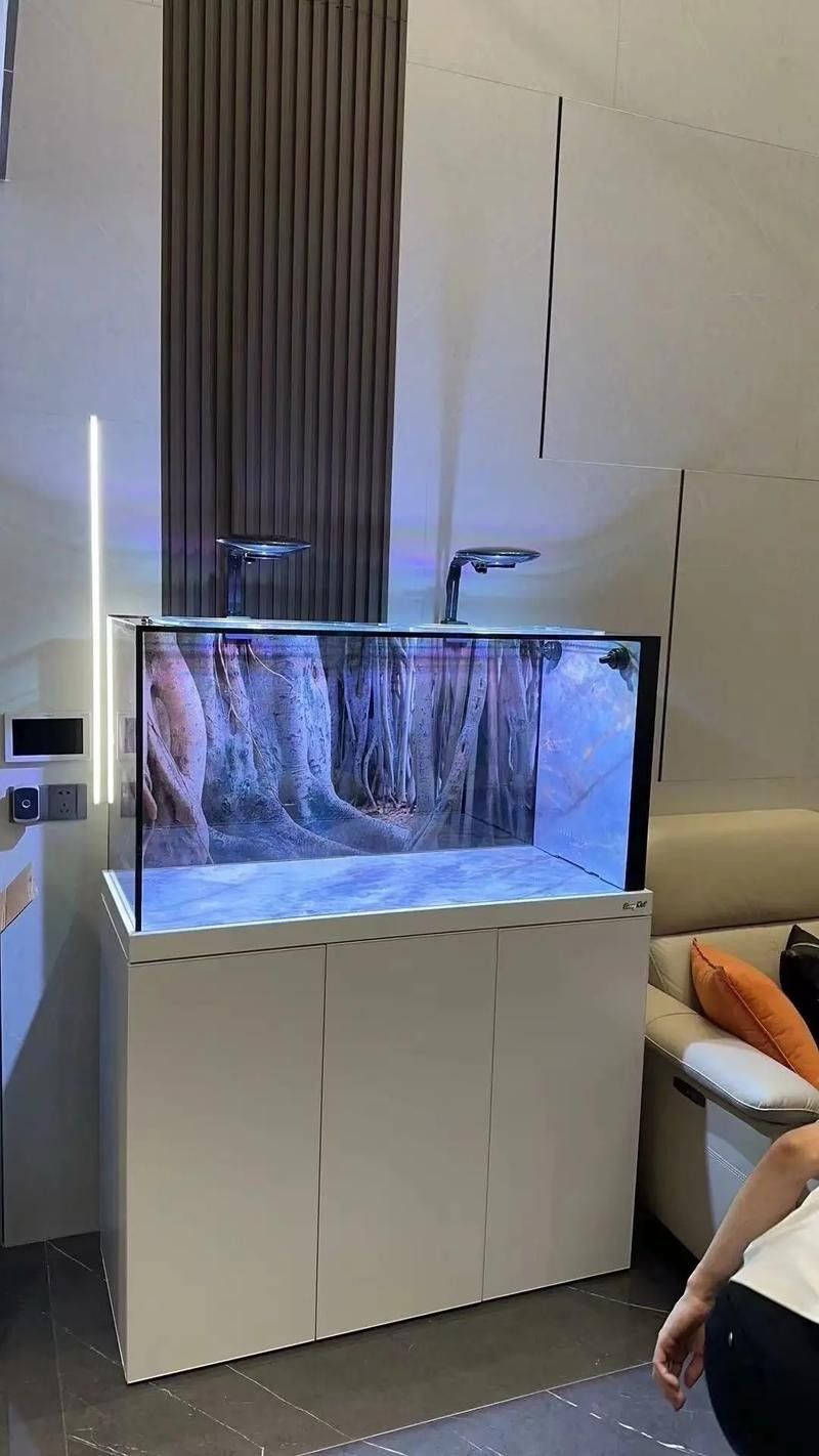 如何選擇適合龍魚養殖的魚缸（選擇適合的魚缸需要考慮的幾個要點）