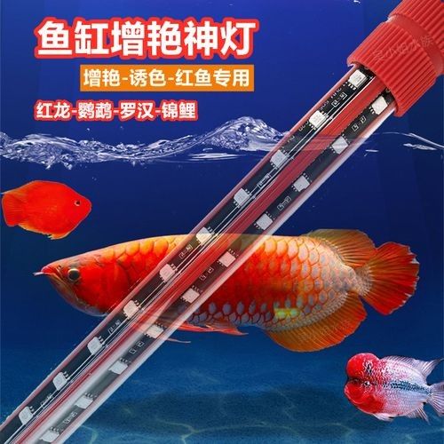 推薦幾款適合紅龍養殖的LED燈（紅龍養殖led燈具推薦）