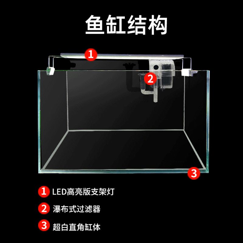龍魚寄生蟲圖片高清（龍魚寄生蟲圖片高清大圖）（如何判斷龍魚寄生蟲）