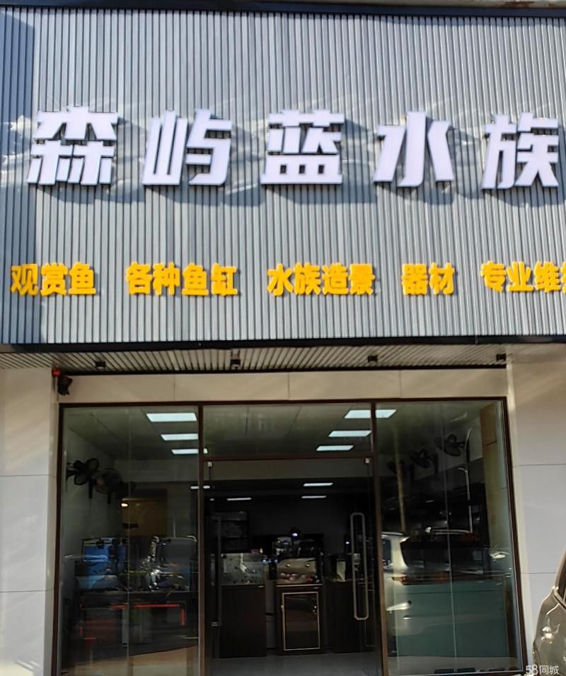 龍魚世家有在線服務嗎？