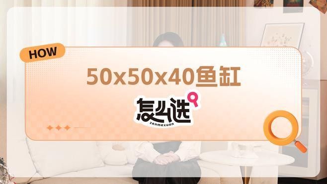 印尼小紅龍魚需要多大的魚缸（印尼小紅龍魚怎么養紅龍魚一缸可以養幾條王小乖養魚圈子）