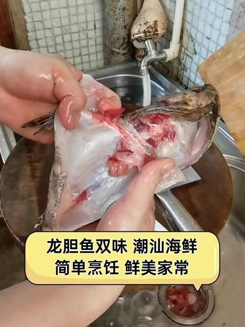 還有哪些潮汕龍魚烹飪搭配？（潮汕龍魚烹飪搭配）