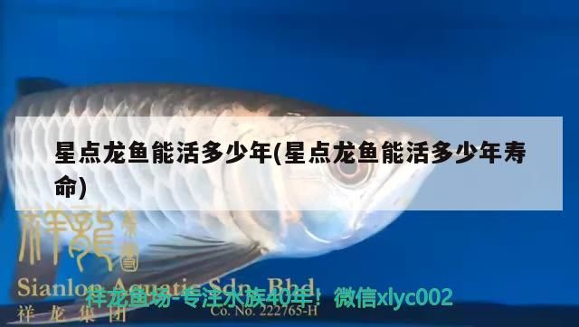 星點龍魚能活多少年(星點龍魚能活多少年壽命)（星點龍魚能活多少年）