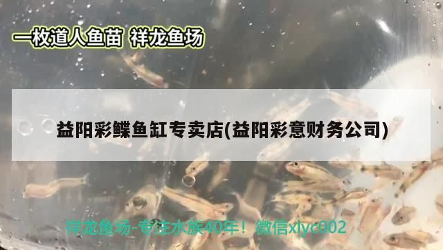 益陽彩鰈魚缸專賣店(益陽彩意財務公司)（益陽彩鰈魚缸專賣店）