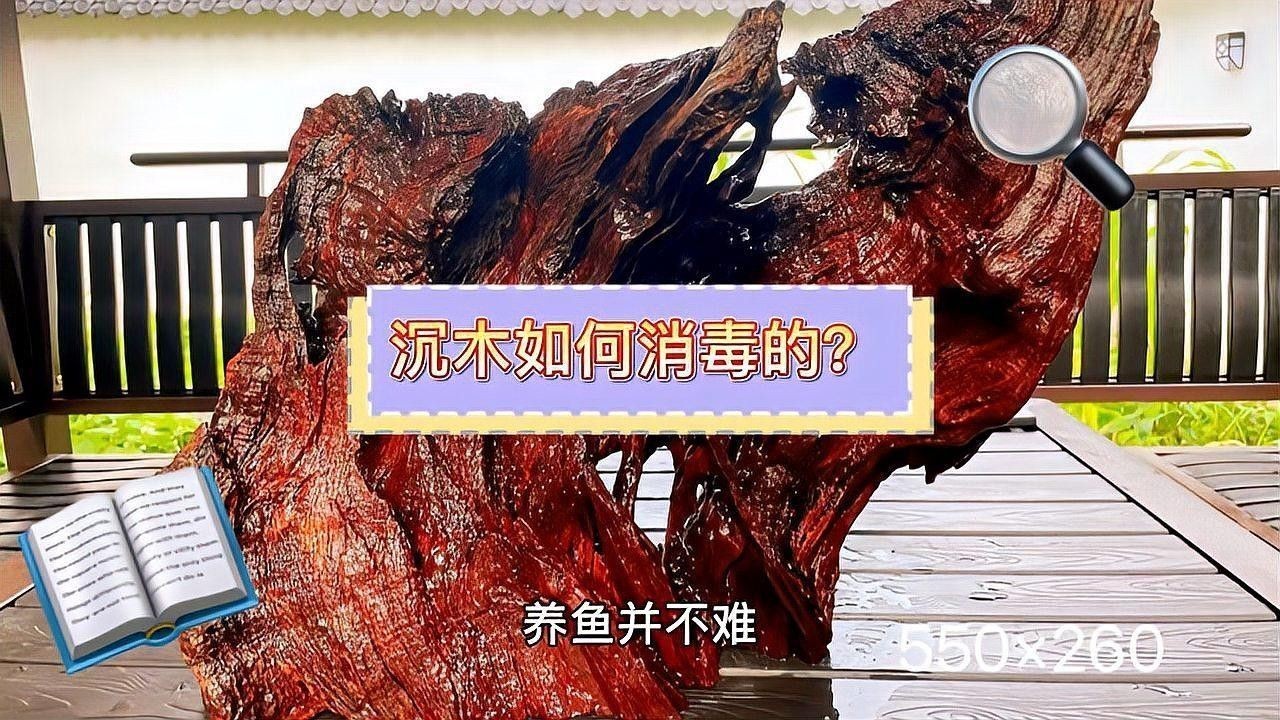 沉木清洗后需要消毒嗎？（木清洗后是否需要消毒是一個值得探討的問題）