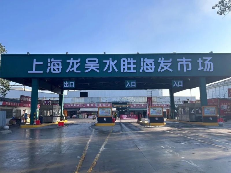 上海龍魚市場有哪些知名商家