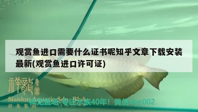 觀賞魚進口需要什么證書呢知乎文章下載安裝最新(觀賞魚進口許可證)