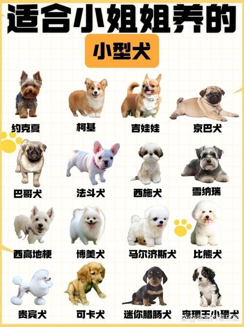 哪些混養方案最適合新手