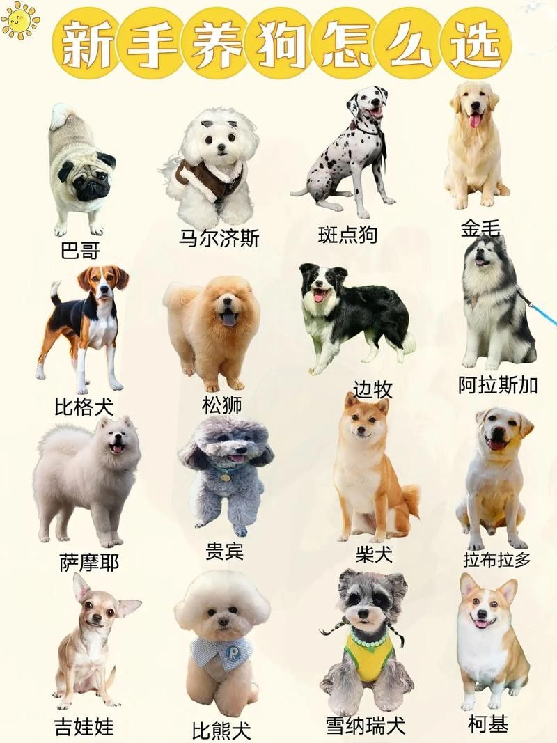 哪些混養方案最適合新手