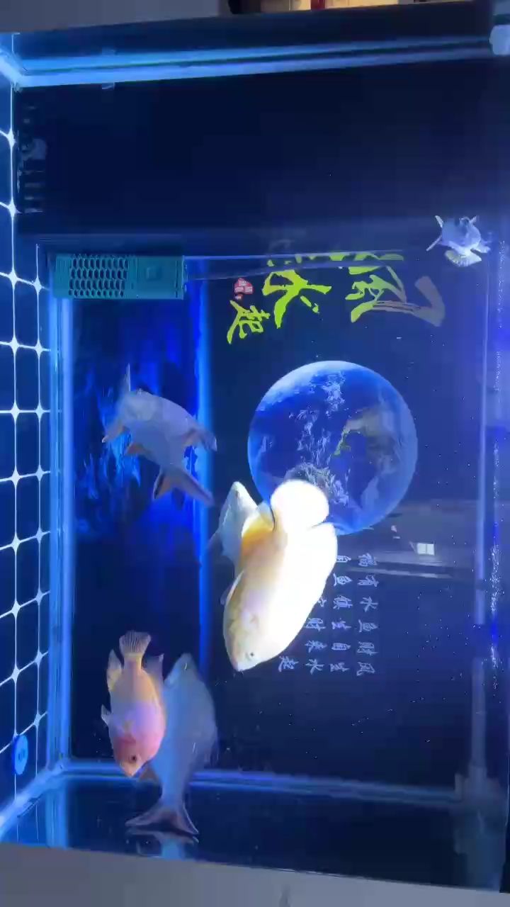 風生水起，財自來。