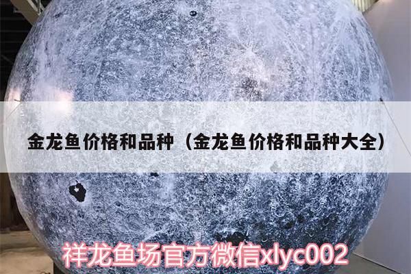 金龍魚價格和品種（金龍魚價格和品種大全）
