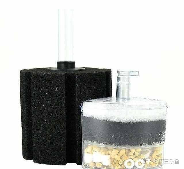 繁殖缸中需要哪些設備